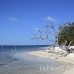 beach_jar_h_0701_cub2865.jpg
